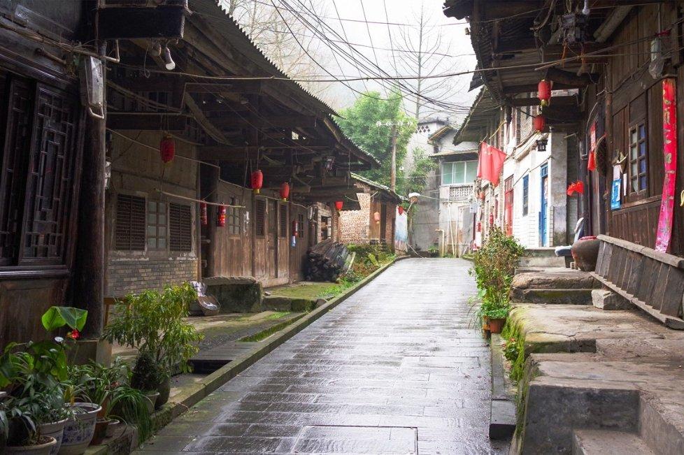 深度解读布局三年,只用了十天就逼得和珅自杀,嘉庆为何如此恨和珅?!推荐你必备的红迪网平台